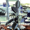 Pamela's Rubber Plant, Walberswick