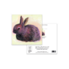 Snuggle Bunny Greeting Card – Unique Animal Art for All Occasions - Image 3