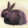 Snuggle Bunny Greeting Card – Unique Animal Art for All Occasions