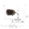 Hedgy Hedgehog Greeting Card – Whimsical Forest Animal Design - Image 3