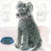Greeting card with playful dog illustration and the word 'Woof!' in bold, fun style