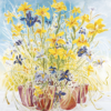 Flag Irises