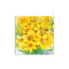 Daffodils for Easter - Image 2