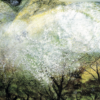 Matthias's Apple Orchard