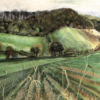 Timberden Bottom, Shoreham, Kent