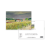 Vineyards, Anglars, Juillac - Image 3