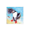 Hungry Puffin - Image 4