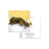 Mr Bigglesworth Cat Greeting Card – Unique Pet Illustration for Any Occasion - Image 3