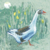 Illustrated goose greeting card with yellow flag Irises and a collage green meadow background. Artists on Cards