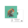 Robin - Image 3