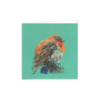 Robin - Image 2