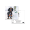Sausage Dog Greeting Card – Daphne the Dachshund - Image 3