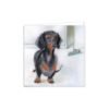 Sausage Dog Greeting Card – Daphne the Dachshund - Image 2
