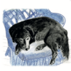 Greeting card featuring an artistic dog illustration titled 'Chillax', ideal for animal lovers