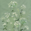 Cow Parsley in Summer
