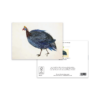 Guinea Fowl Greeting Card – Speckled Bird Illustration - Image 3