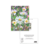 Wild Daisies - Image 3