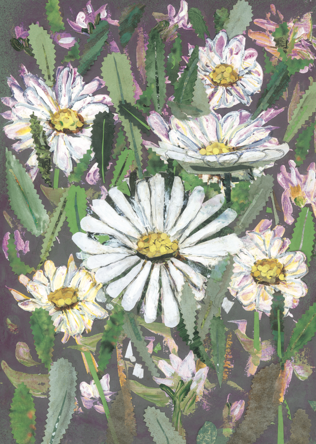 Artists on Cards Ltd SML023-for-website Wild Daisies Greeting Card – Botanical Collage Flower Art Card  
