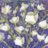 Greeting card with white blossom sweet peas in collage style layered over purple and green floral background. Artists on Cards
