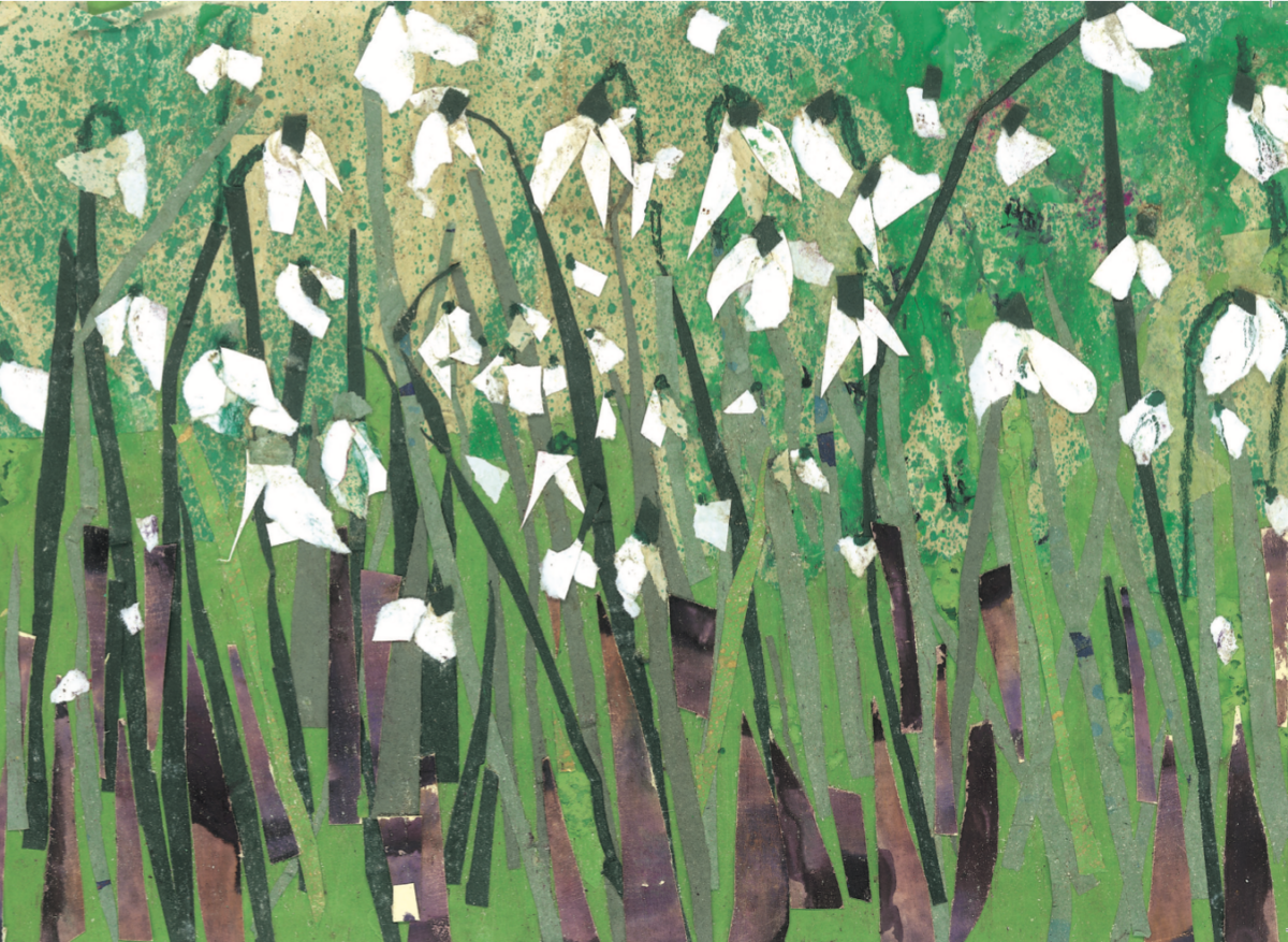 Artists on Cards Ltd SML031 Snowdrops in Spring Collage  