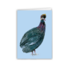 Guinea Fowl Portrait - Image 4
