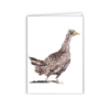 Partridge Collage (Bubble wrap) - Image 4
