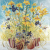 Flag Irises
