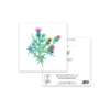 Wild Thistle - Image 3