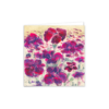 Lychnis Coronaria - Image 2