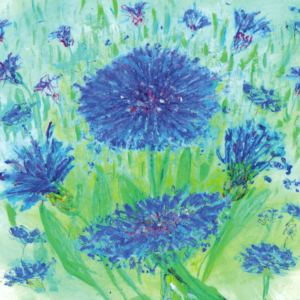 Artists on Cards Ltd SQL609-cornflowers-website-300x300 Meadow Cornflower  