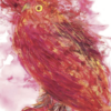 Greeting card with a fluffy pink owl and soft textures on pale background.
