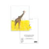 Massai Giraffe - Image 3