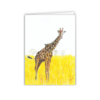 Massai Giraffe - Image 4