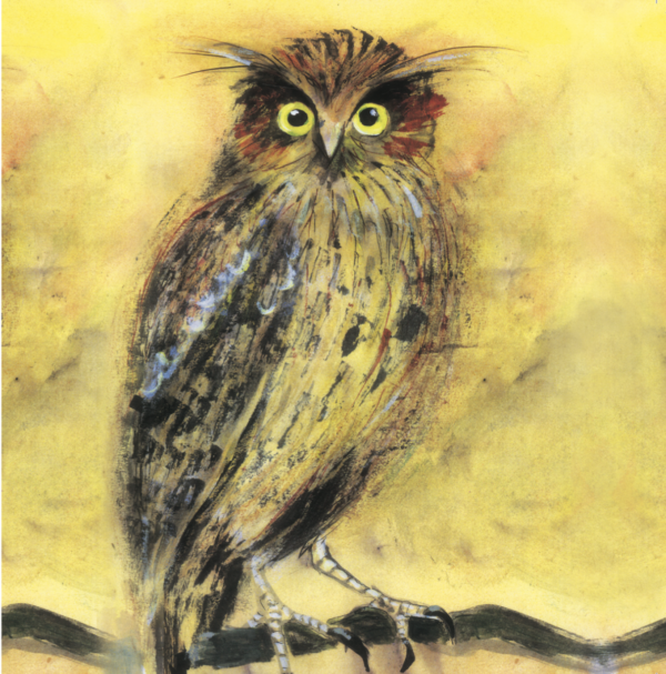 Greeting card of a brown and gold owl with wide eyes and collage style feathers.