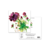 Anemone - Image 3