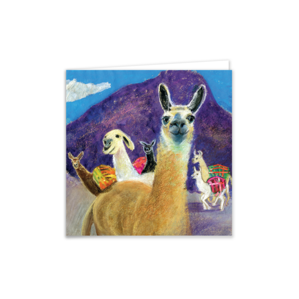 Llama Drama - Image 4