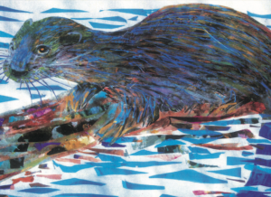 Artists on Cards Ltd sml033-for-website-300x218 Otter Floating On Log  