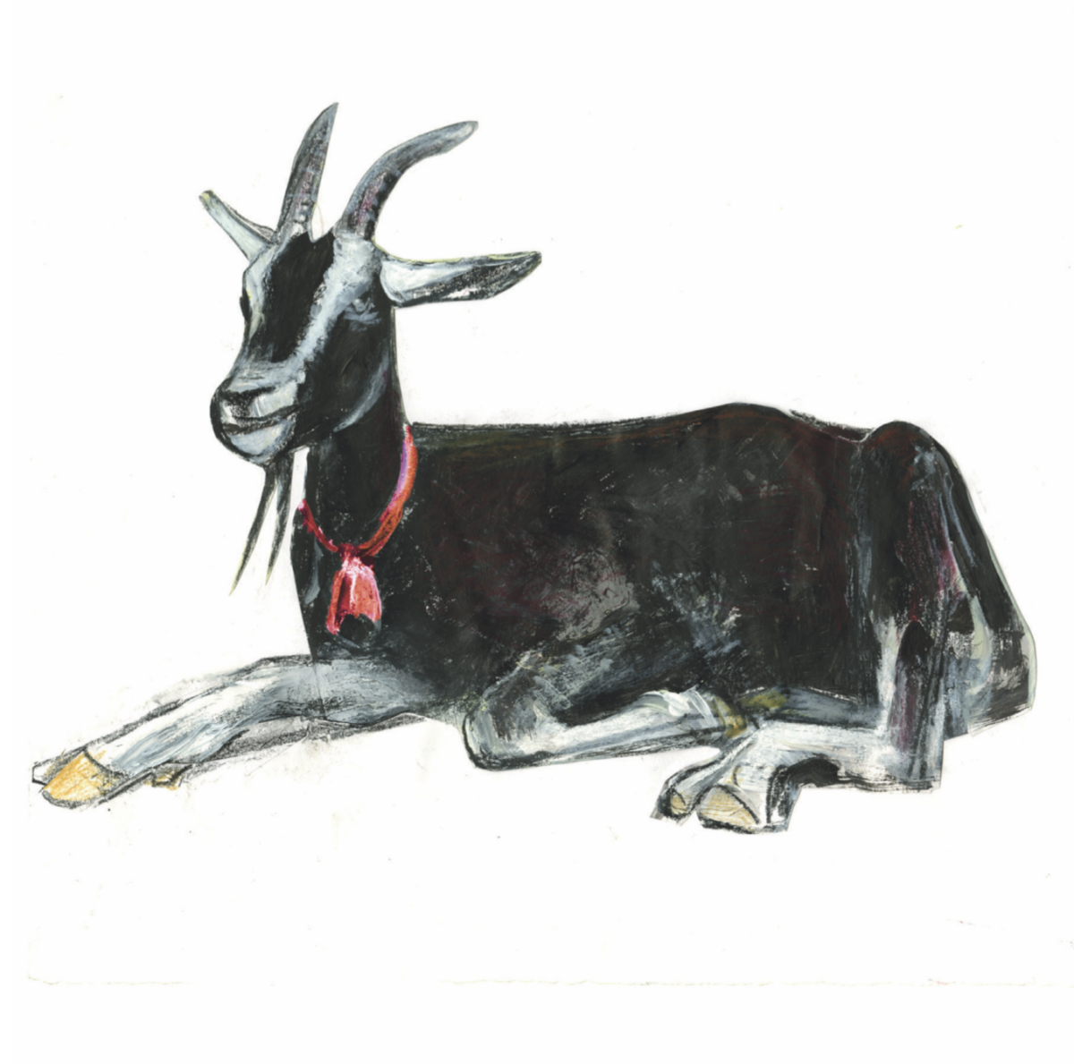 Portrait of a black and white goat in painterly design with a pink collar.