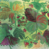 Wild Strawberries