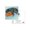 The Arms of Morpheus Animal Greeting Card – Unique Pet Illustration for Any Occasion - Image 3