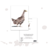 Partridge Collage - Image 2