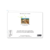 Angolan Giraffes Animal Greeting Card – Unique animal Illustration for Any Occasion - Image 4
