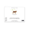 Charming Donkey Greeting Card – Countryside Farm Animal – Rustic Art Card - Image 4