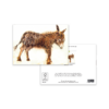 Charming Donkey Greeting Card – Countryside Farm Animal – Rustic Art Card - Image 3