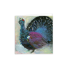 Capercaillie - Image 4