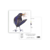 Blackbird - Image 3