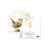 Jenny Wren - Image 3