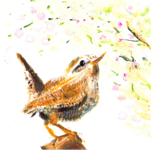 Artists on Cards Ltd SQL030-for-website-300x299 Jenny Wren  