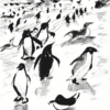 Penguin Gathering