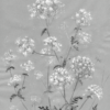 Cow Parsley